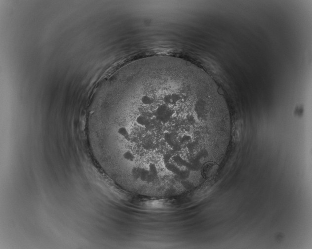 X0000115480365200911201845