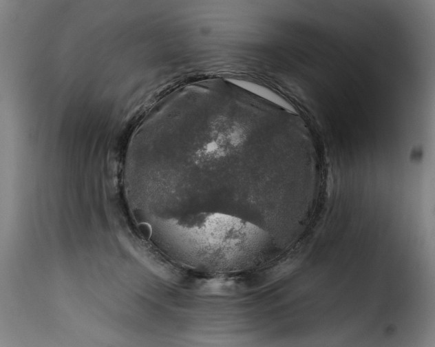 X0000115480366200911201845