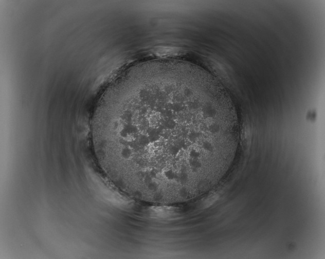 X0000115480367200911201845