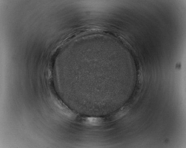 X0000115480371200911201845