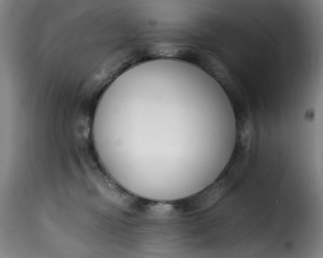 X0000115480374200911201845