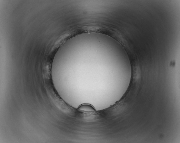 X0000115480378200911201845