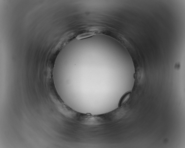 X0000115480379200911201845