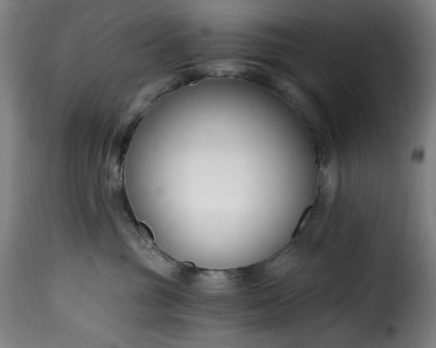 X0000115480381200911201845