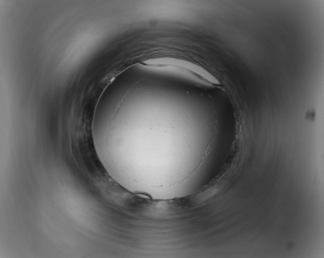 X0000115480382200911201845