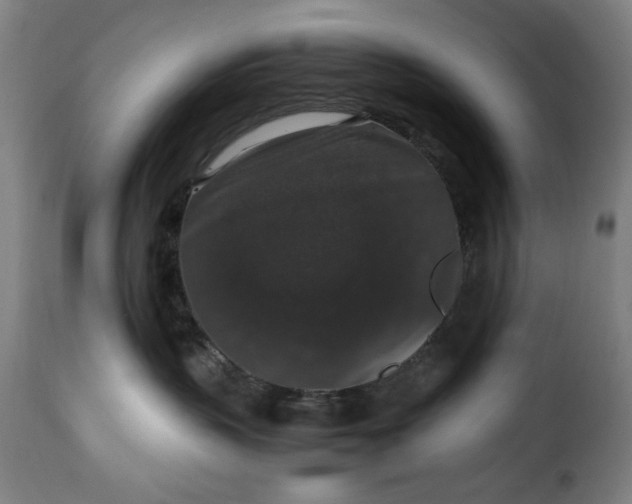 X0000115480383200911201845