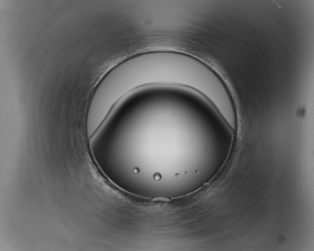 X0000115480385200911201845