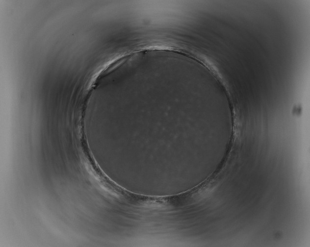 X0000115480386200911201845