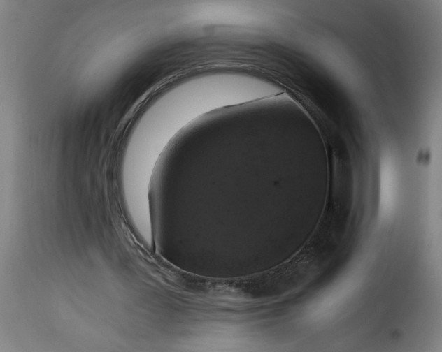 X0000115480387200911201845