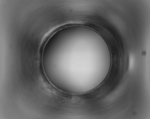 X0000115480388200911201844