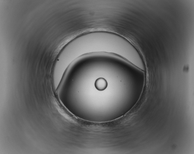 X0000115480389200911201844