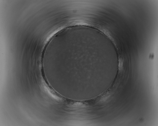 X0000115480390200911201844