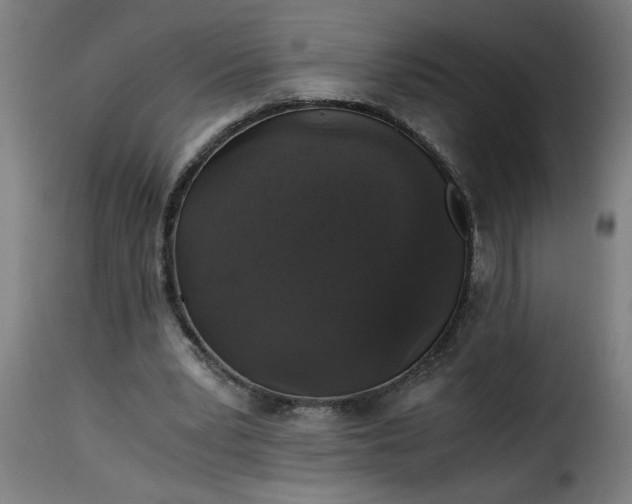 X0000115480391200911201844