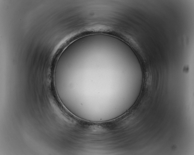 X0000115480392200911201844