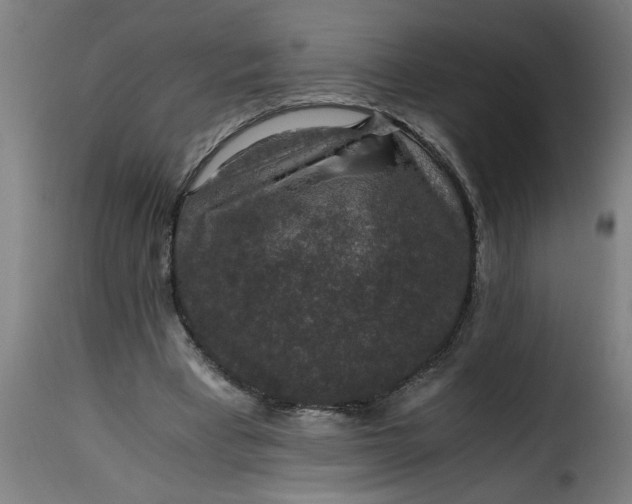 X0000115480393200911201844