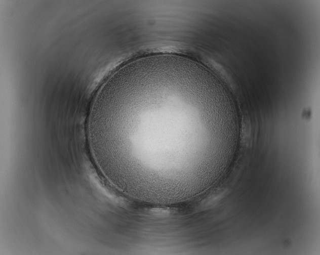 X0000115480394200911201844