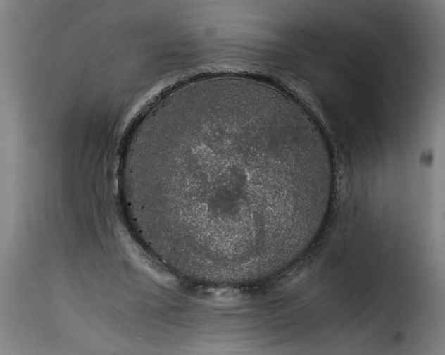 X0000115480395200911201844