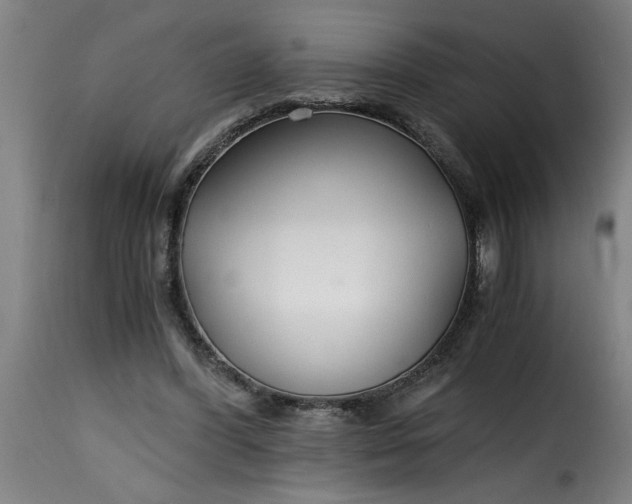 X0000115480396200911201844