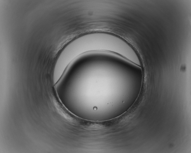 X0000115480397200911201844