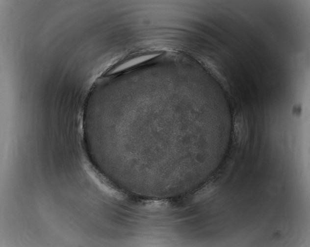 X0000115480398200911201844