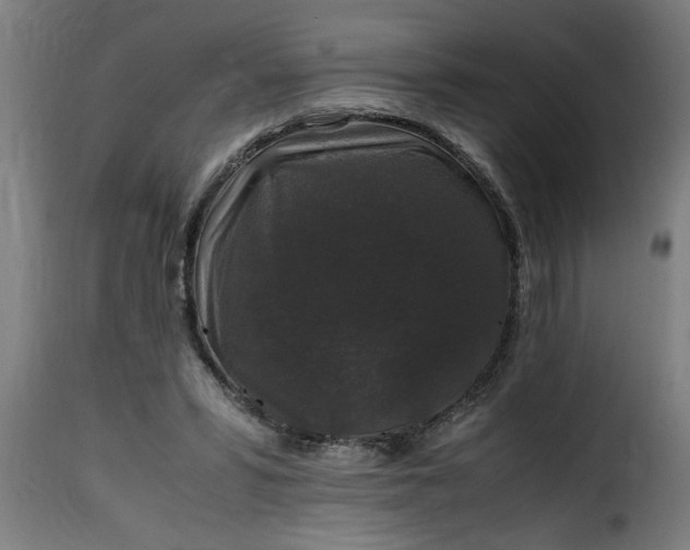 X0000115480399200911201844