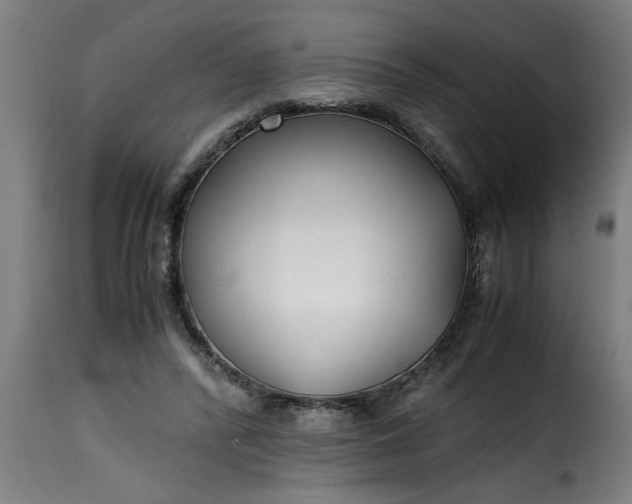 X0000115480400200911201844