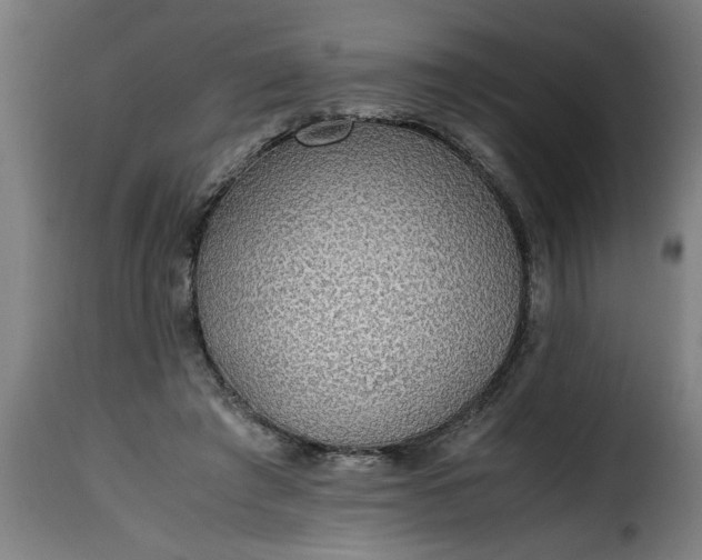 X0000115480401200911201844