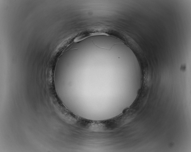 X0000115480403200911201844