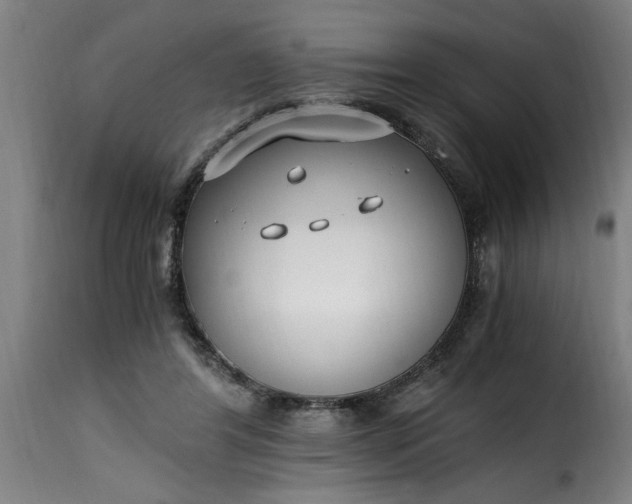 X0000115480404200911201844