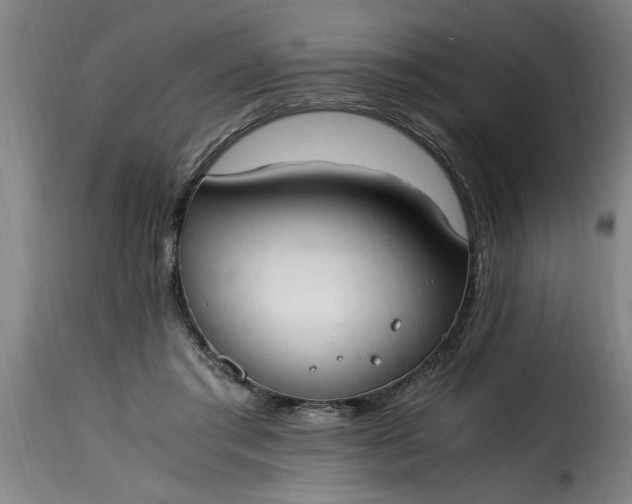 X0000115480405200911201844