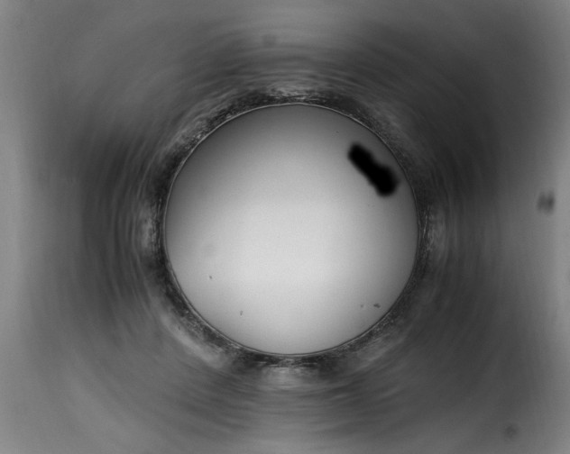 X0000115480408200911201844