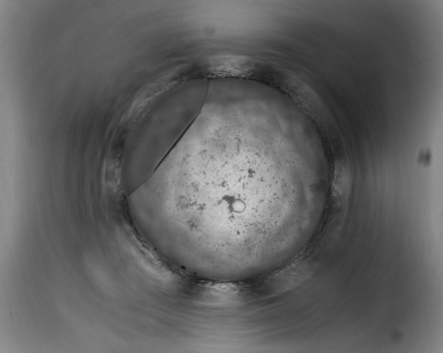 X0000115480409200911201844