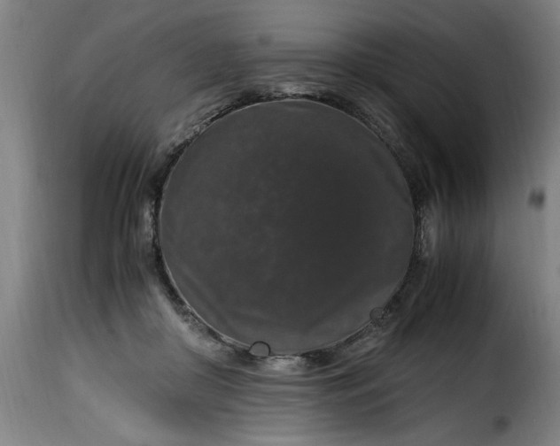 X0000115480410200911201844