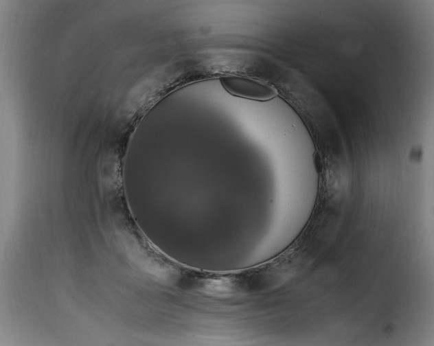 X0000115480411200911201844