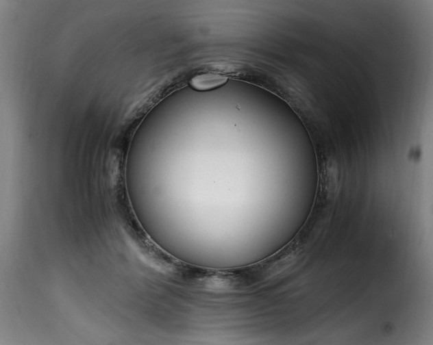 X0000115480412200911201844