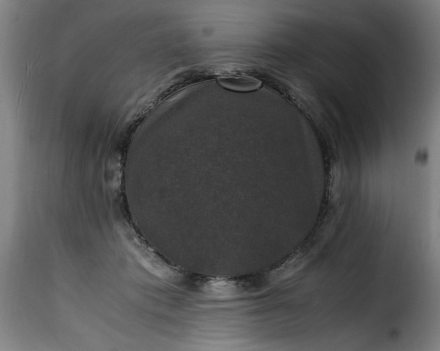 X0000115480413200911201844