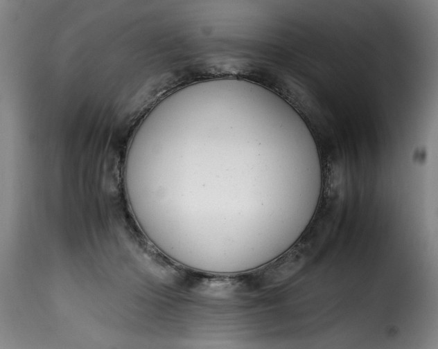 X0000115480414200911201844