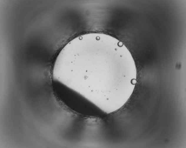 X0000115480415200911201844