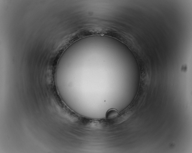 X0000115480416200911201844