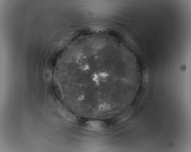 X0000115480417200911201844