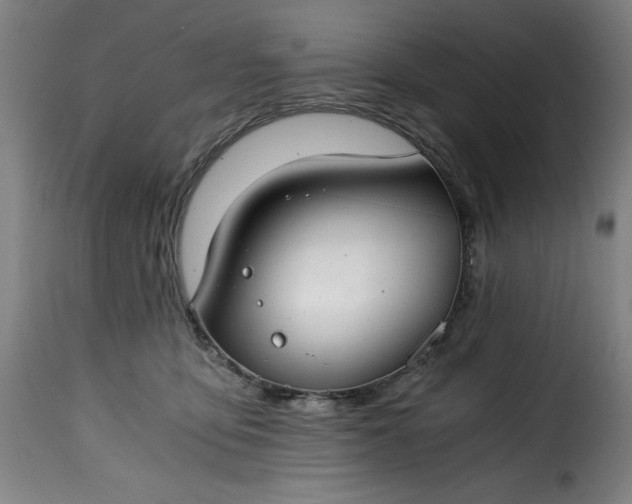 X0000115480419200911201844