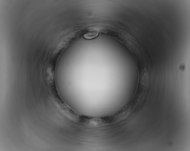 X0000115480420200911201844