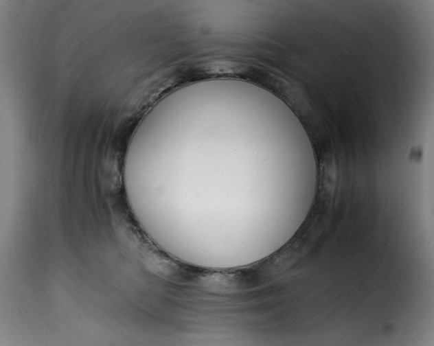 X0000115480422200911201844