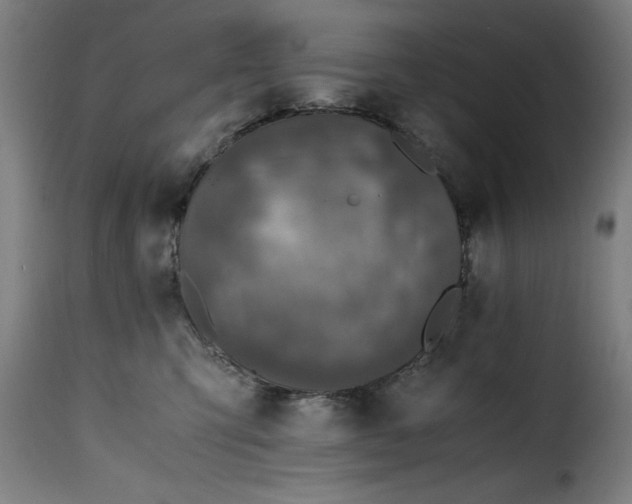 X0000115480423200911201844