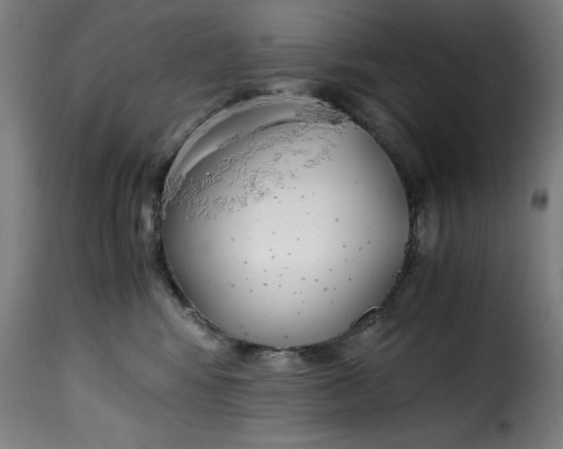 X0000115480424200911201844