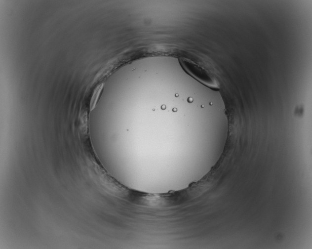 X0000115480425200911201844