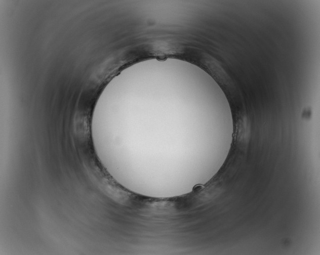 X0000115480426200911201844