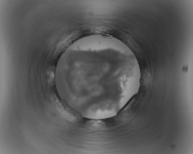 X0000115480427200911201844