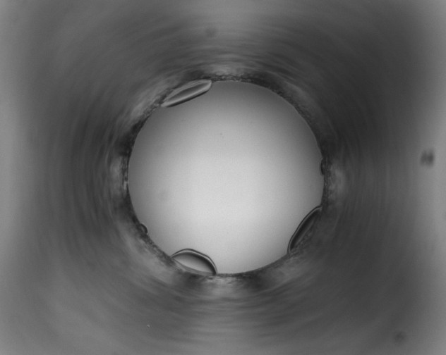 X0000115480428200911201844