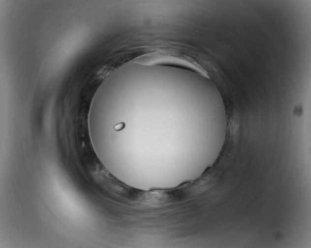 X0000115480429200911201844